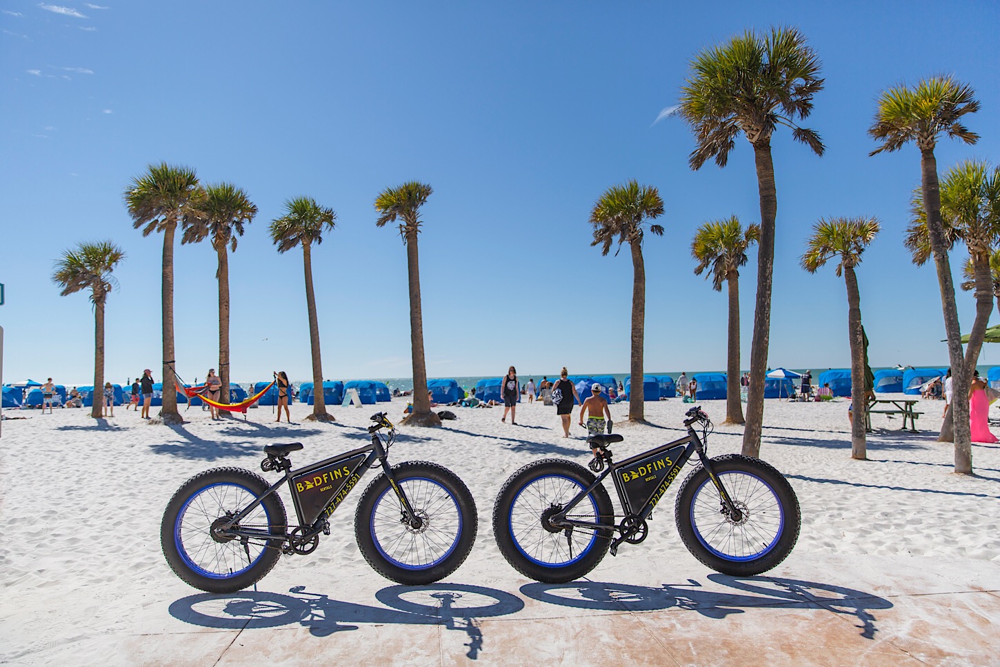 Bikes und Palmen am Clearwater Beach