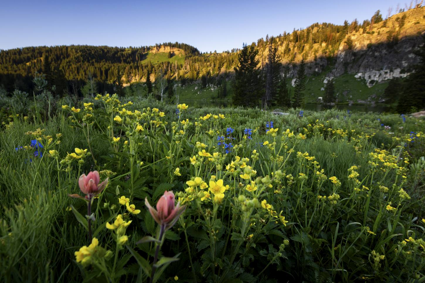 Logan Canyon Scenic Byway