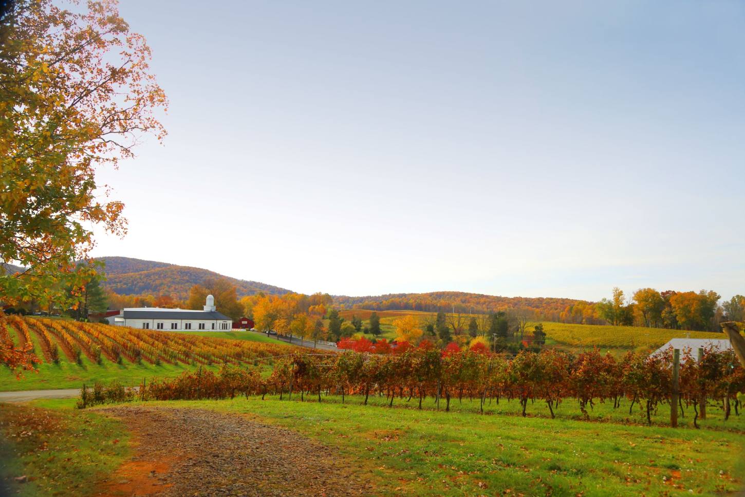 Barboursville Vineyards