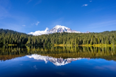 Mount Rainier National Park