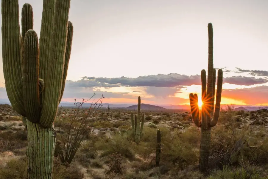 McDowell Sonoran Preserve