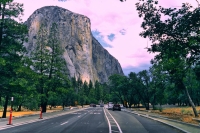 Erste Auswirkungen der von Donald Trump veranlassten Entlassungen auf die National Parks der USA