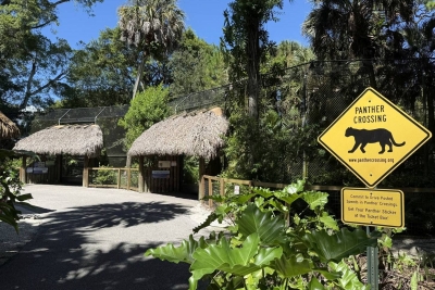 Im Naples Zoo