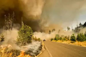 Waldbrände sind eine Bedrohung für Mensch und Tier