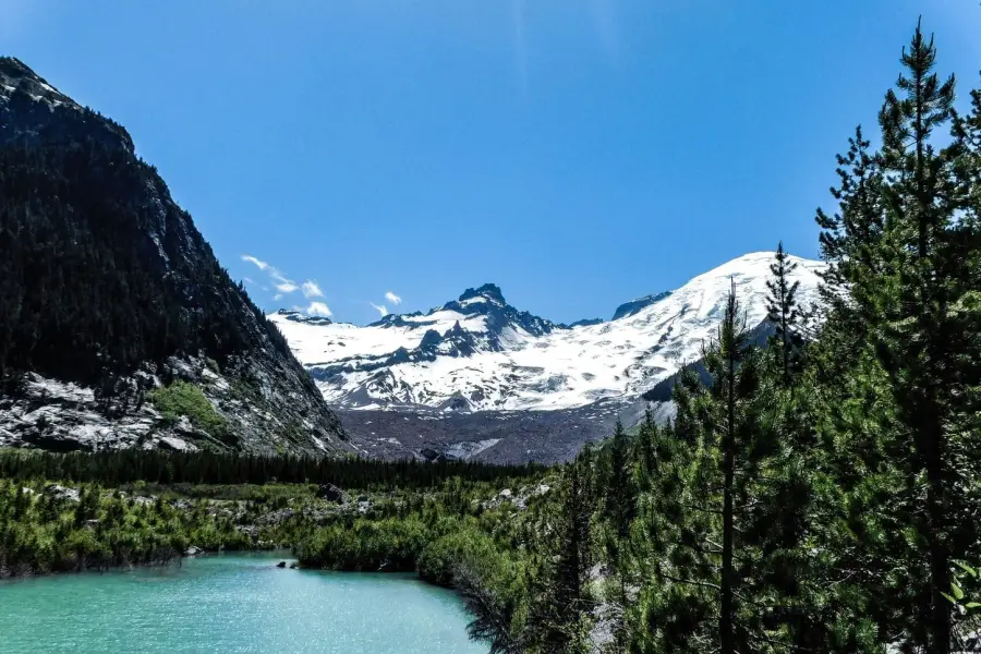 Reservierungspflicht für den Mount Rainier Nationalpark 2024 - alle Informationen und Details